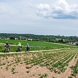 DSC_1597 - Kopie