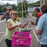 DSC08249 Mittagspause in Möckmühl