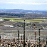 2020-02-23 Winterradausfahrt ins Bottwartal (07)