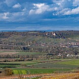 2023-11-19_021